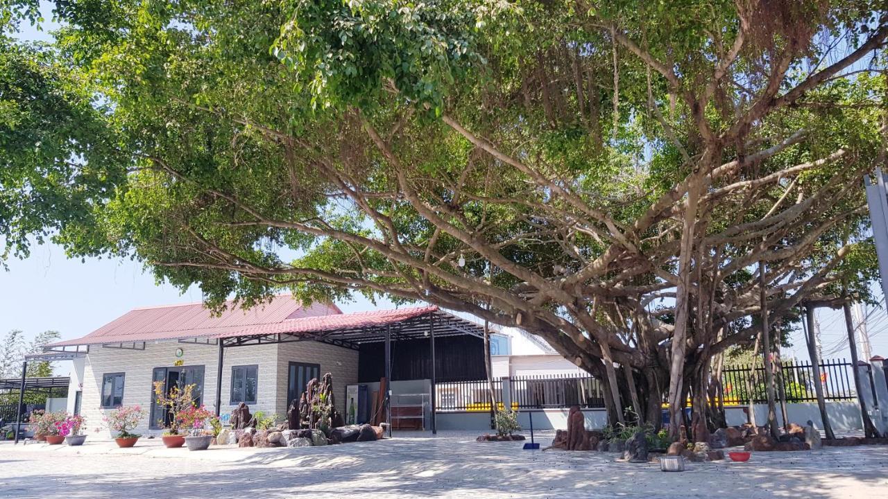 Thảo Nguyên Xanh Bed & Breakfast Lang Van Ke Ngoại thất bức ảnh